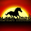 Black Horse